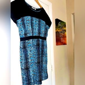 This is a beautiful blue dress that is vibrant and elegant, it also flows well.